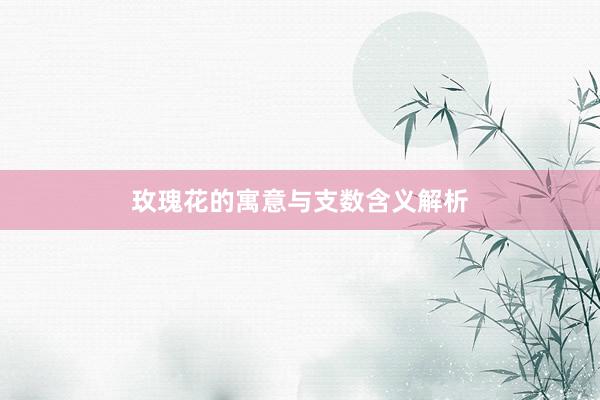 玫瑰花的寓意与支数含义解析