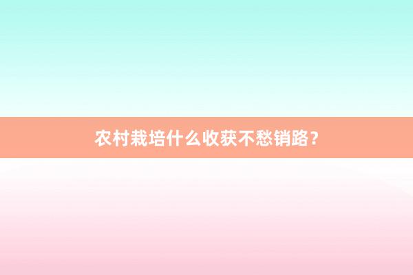 农村栽培什么收获不愁销路？